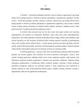 Kredito esmė, rizika bei paskolų grupės 19 puslapis