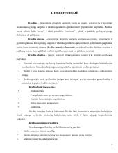 Kredito esmė, rizika bei paskolų grupės 3 puslapis