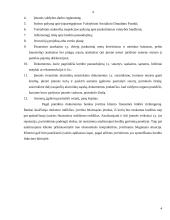 Kredito esmė, rizika bei paskolų grupės 4 puslapis