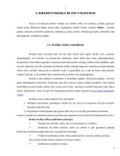 Kredito esmė, rizika bei paskolų grupės 5 puslapis