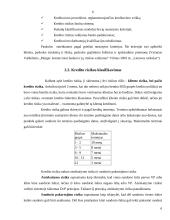 Kredito esmė, rizika bei paskolų grupės 6 puslapis