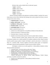 Kredito esmė, rizika bei paskolų grupės 9 puslapis