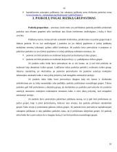 Kredito esmė, rizika bei paskolų grupės 10 puslapis