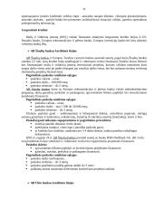 Kreditas ir kredito rizika 11 puslapis