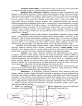 Kreditas ir kredito rizika 5 puslapis