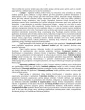 Kreditas ir kredito rizika 7 puslapis