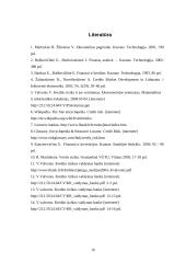 Kredito rizikos 16 puslapis