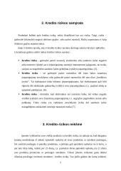 Kredito rizikos 5 puslapis