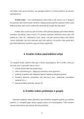 Kredito rizikos 6 puslapis