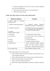 Kredito rizikos 7 puslapis