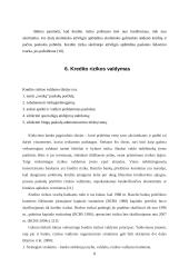 Kredito rizikos 8 puslapis