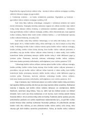 Kredito rizikos 9 puslapis