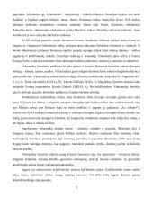 Krikščionybės vaidmuo Viduramžių literatūroje 2 puslapis