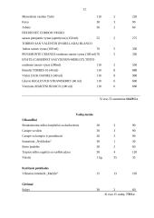 Krikštynų pobūvis, jo eiga 11 puslapis