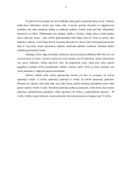 Krikštynų pobūvis, jo eiga 4 puslapis