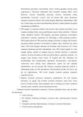 Krovinių gabenimas automobilių transportu 15 puslapis