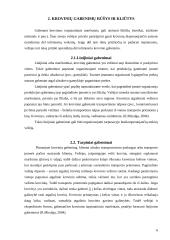 Krovinių gabenimas automobilių transportu 6 puslapis