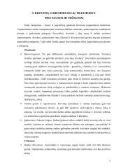 Krovinių gabenimas automobilių transportu 7 puslapis