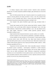 Krovinių pervežimas - teisinis reguliavimas 3 puslapis