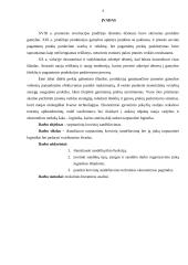 Krovinių sandėliavimas 2 puslapis