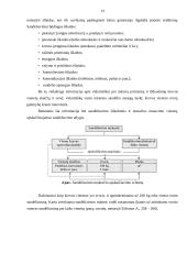 Krovinių sandėliavimas 12 puslapis