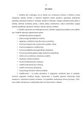 Krovinių sandėliavimas 13 puslapis