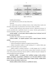 Krovinių sandėliavimas 7 puslapis