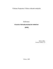 Kruonio hidroakumuliacinė elektrinė (HAE) 9 puslapis