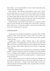 Kūdikio motorinis vystymasis 7 puslapis