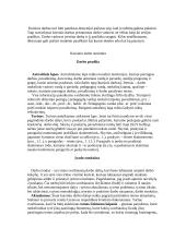 Moksliškai vertingas kursinis darbas 4 puslapis