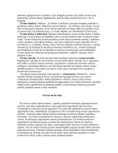 Moksliškai vertingas kursinis darbas 5 puslapis