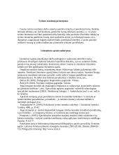 Moksliškai vertingas kursinis darbas 7 puslapis