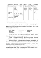 Kvalifikacijos kėlimas 11 puslapis