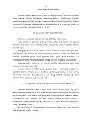 Kvalifikacijos kėlimas 15 puslapis