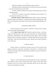 Kvalifikacijos kėlimas 4 puslapis