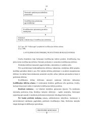Kvalifikacijos kėlimas 10 puslapis