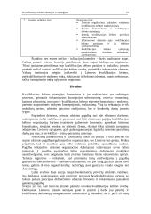 Kvalifikacijos kėlimo būtinybė ir strategijos 18 puslapis