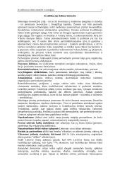 Kvalifikacijos kėlimo būtinybė ir strategijos 3 puslapis