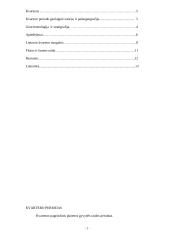 Kvartero periodas 2 puslapis