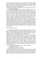 Kvartero periodas 11 puslapis