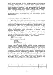 Kvartero periodas 8 puslapis