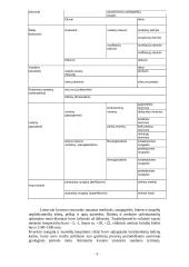 Kvartero periodas 9 puslapis