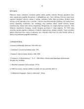 Labdaros organizacijos ikikarinėje Lietuvoje 10 puslapis