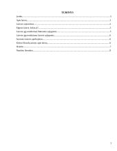 Laisvės kaina 2 puslapis