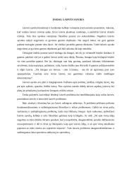 Laisvė filosofijoje 2 puslapis