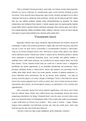 Laisvės samprata 11 puslapis