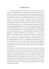 Laisvės samprata 12 puslapis