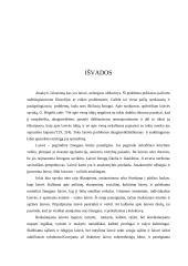 Laisvės samprata 14 puslapis