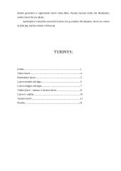 Laisvės samprata 15 puslapis