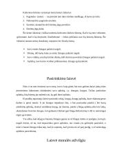 Laisvės samprata 5 puslapis